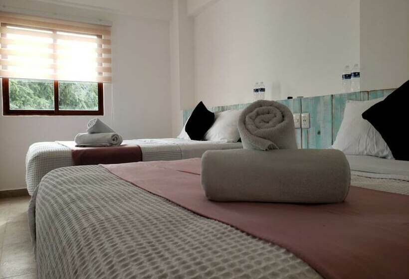 스탠다드 룸, Seyba Bakalar