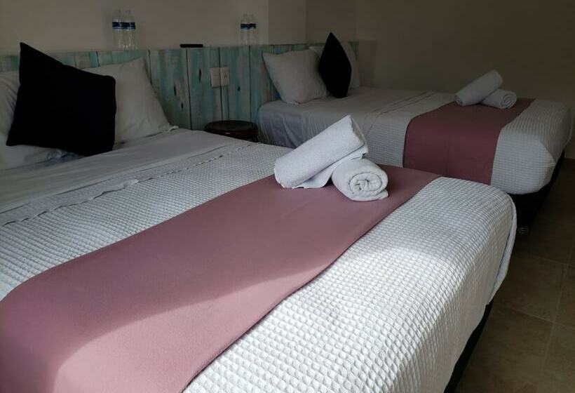 스탠다드 룸, Seyba Bakalar