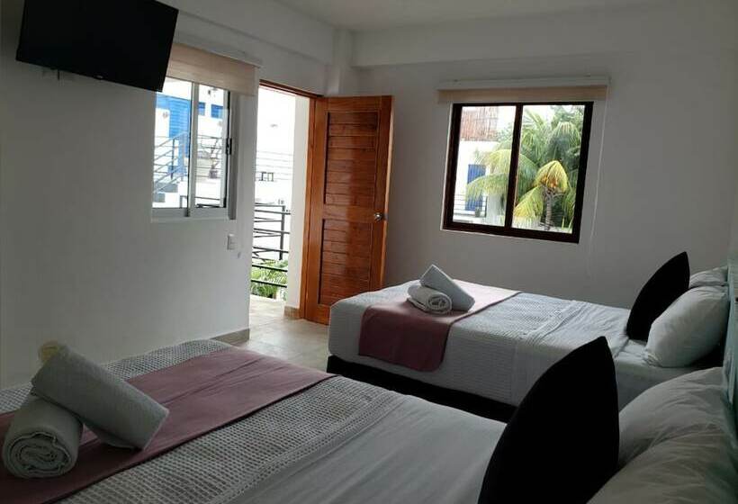 스탠다드 룸, Seyba Bakalar