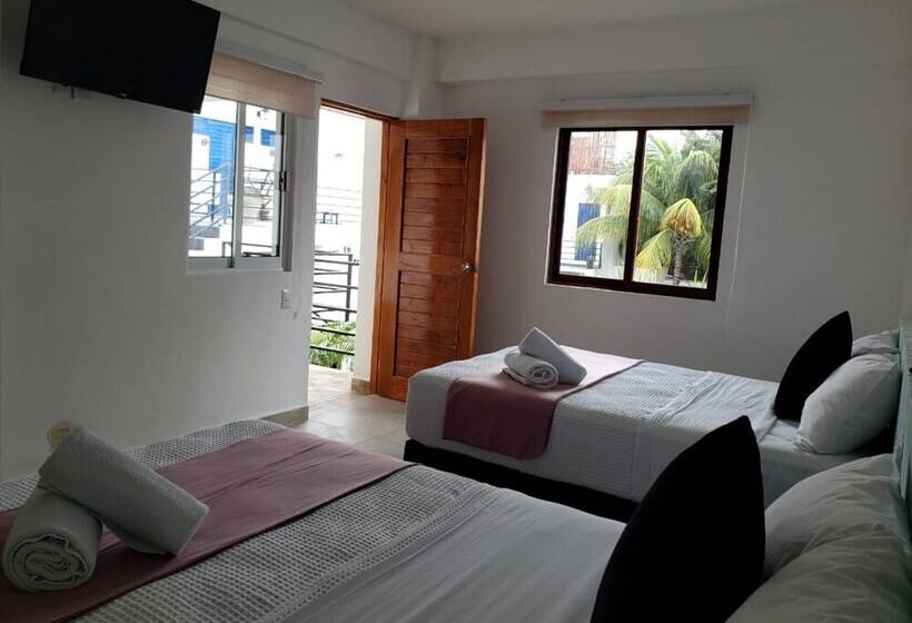 스탠다드 룸, Seyba Bakalar