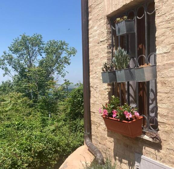 اتاق دوبلکس, Ciribaccos