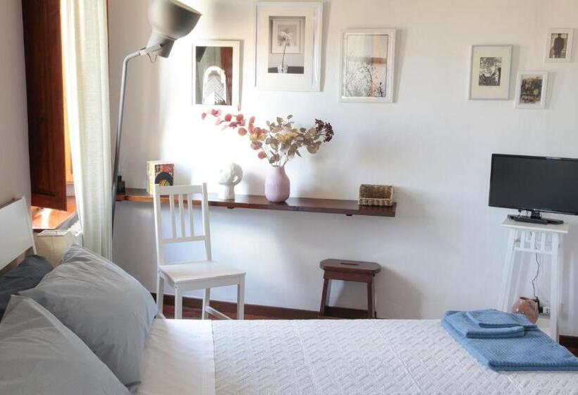 اتاق استاندارد, Ciribaccos