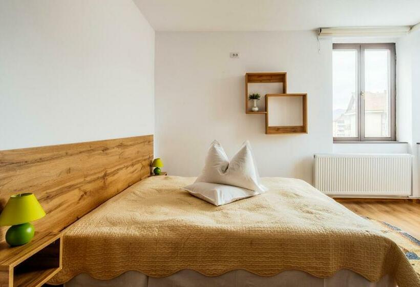 Номер Стандарт, Carpati