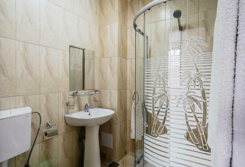 Номер Стандарт, Carpati