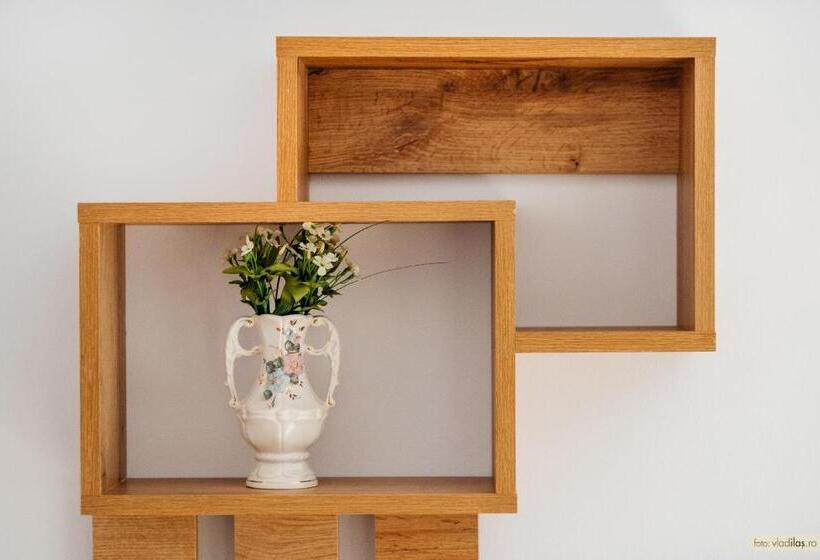 Номер Стандарт, Carpati