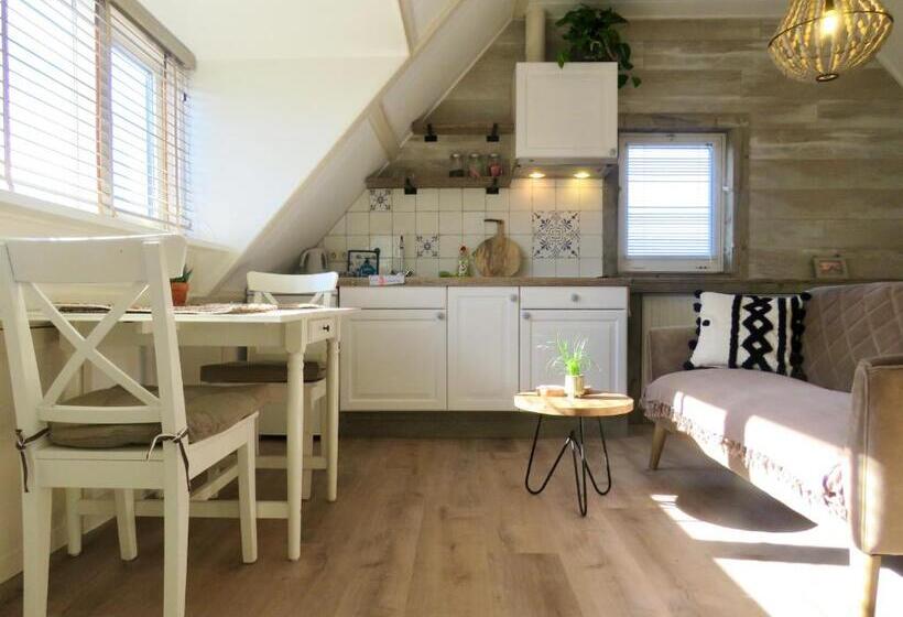 Студия Стандарт, Casa Duna Close To The Beach, City Centre, Dunes And Parking Area