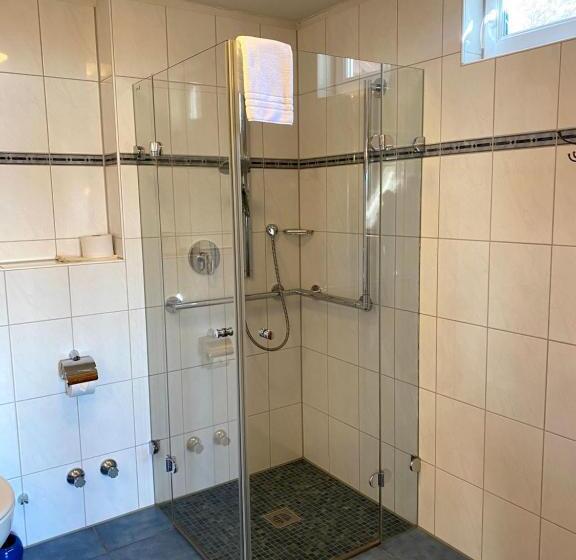 شقة بغرفة نوم واحدة, Landhaus Sternen