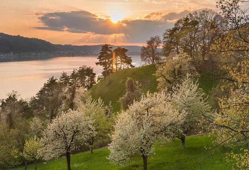 شقة بغرفة نوم واحدة, Landhaus Sternen