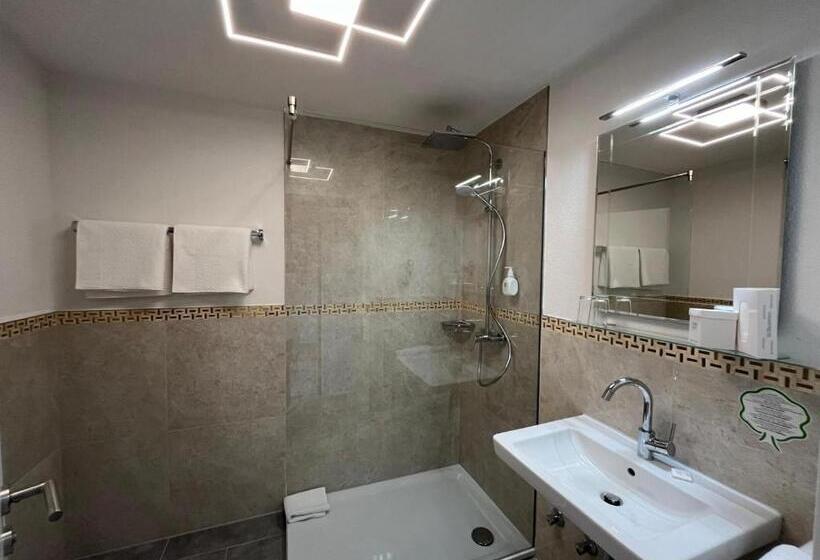 غرفة قياسية مطلّة علي البحر مزوَّدة بشُرفة, Landhaus Sternen