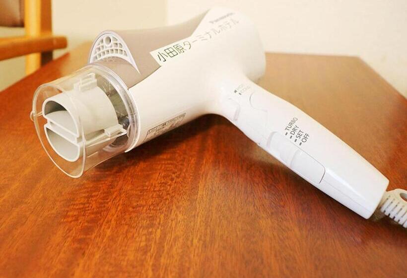 エコノミーシングルルーム, Odawara Terminal