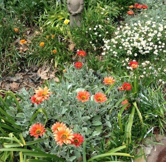 가든 전망 스위트, Adelaide Hills B&b Accommodation