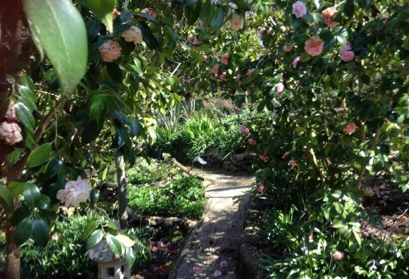 套房带园景, Adelaide Hills B&b Accommodation