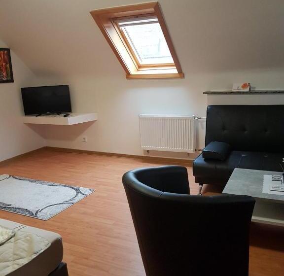 １ベッドルームアパートメント, Pension Monalisa