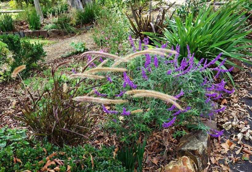 3间卧室的房子, The Oaks Lilydale Accommodation