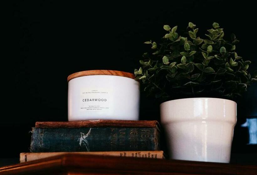 חדר סטנדרט, Astor Inn