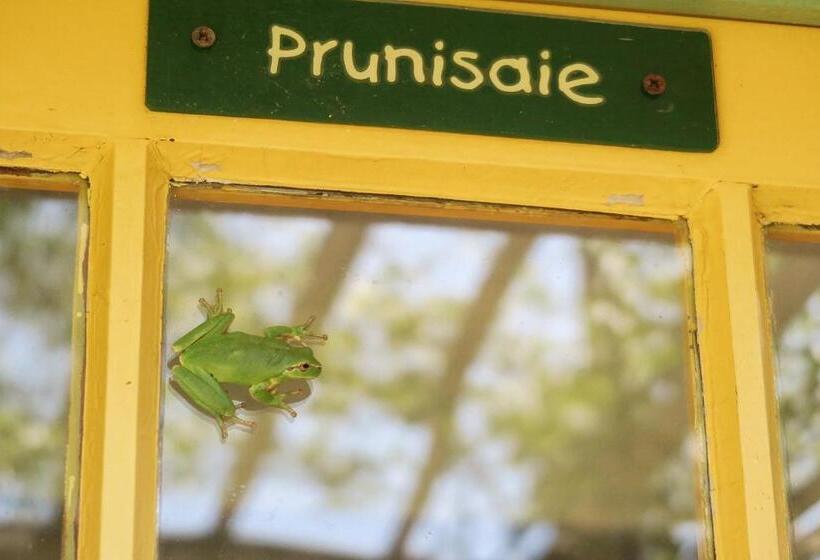 آپارتمان 1 خوابه با چشمانداز دریا, La Calanque De Figuerolles