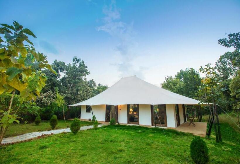 Standard Tent, Tuli Veer Bagh Resort