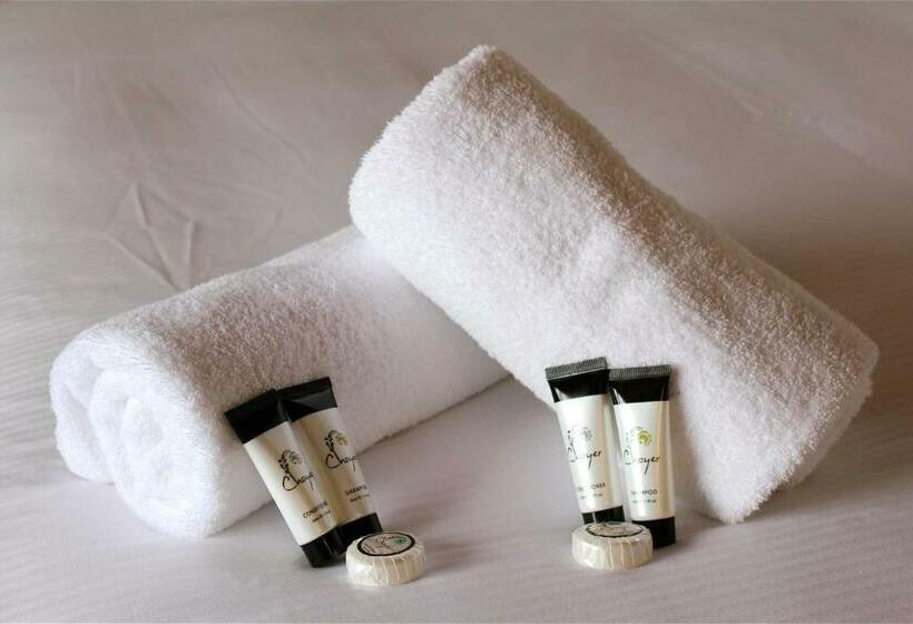 חדר סטנדרט, Eiger Chalet