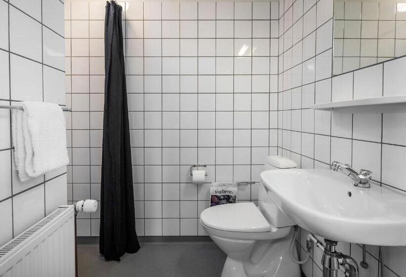 اتاق استاندارد یک نفره, Søma Aasiaat