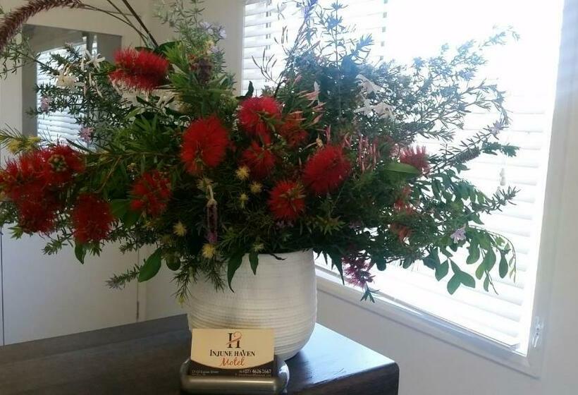 חדר אקונומי, Injune Haven