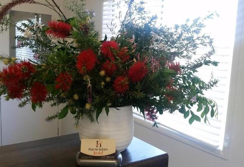 חדר דלוקס, Injune Haven