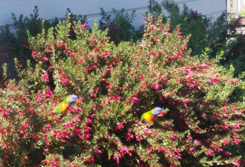 디럭스 룸, Injune Haven