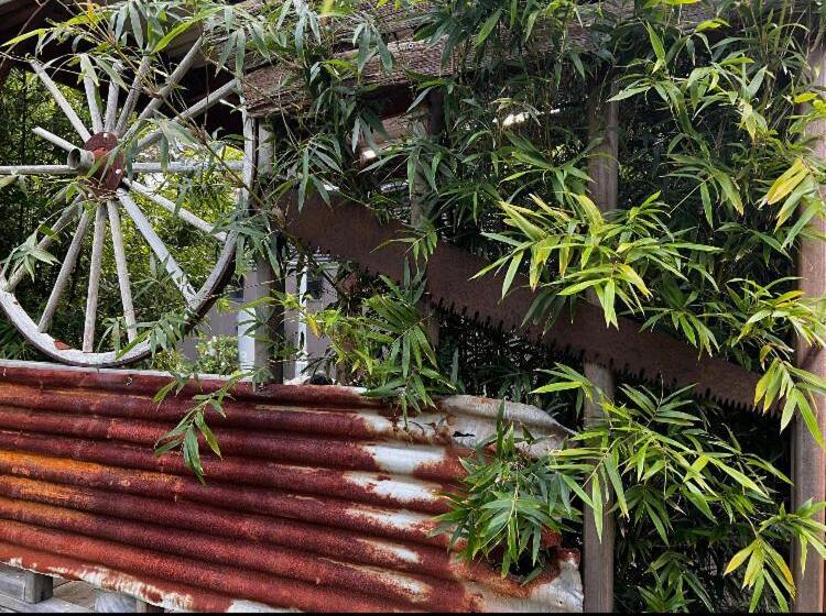 Люкс, Mudstone Suites