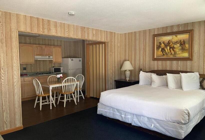 带大床的豪华间, Saddle & Surrey Motel