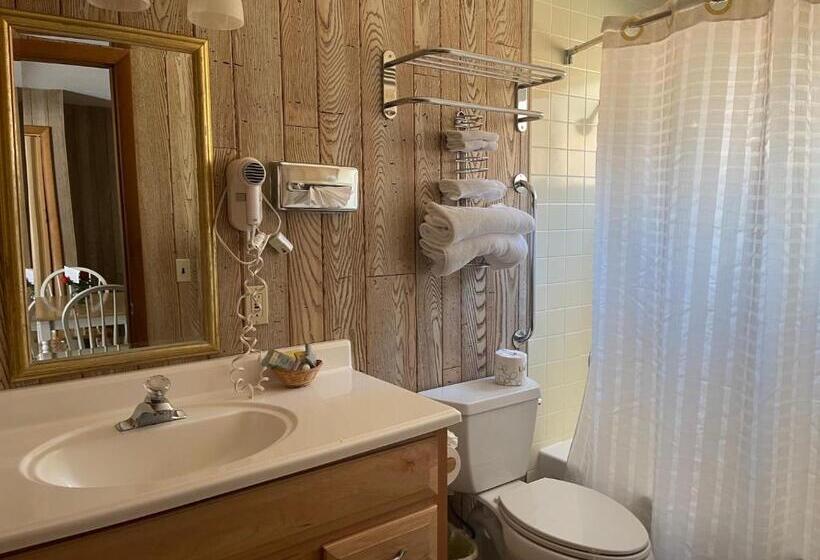 带大床的豪华间, Saddle & Surrey Motel