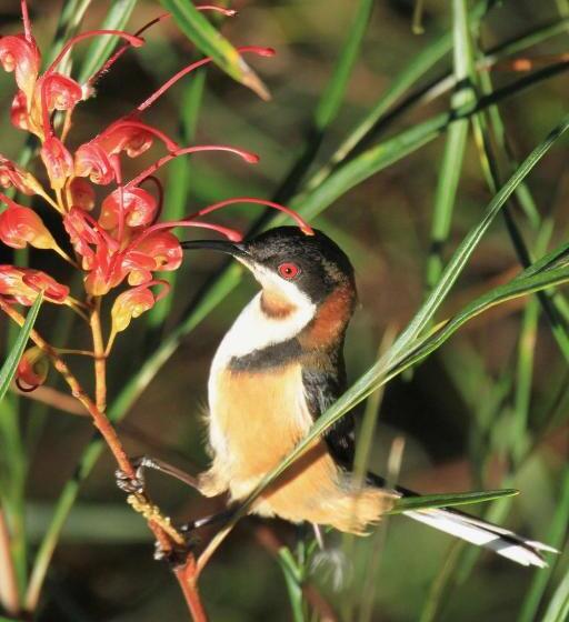 סטודיו סטנדרט נוף לים, The Croft Bed And Breakfast