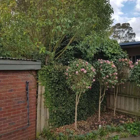 سوییت خانوادگی, Creek Cottage Bed And Breakfast Traralgon