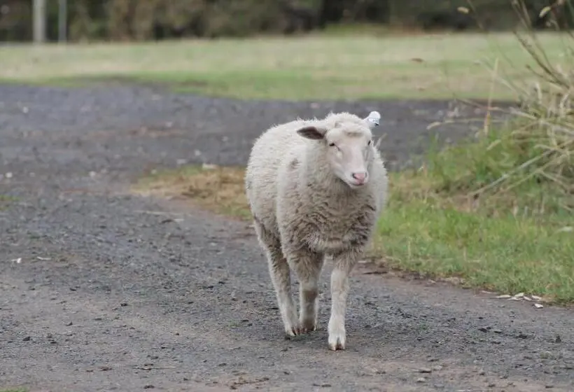スリーベッドルーム　ヴィラ, Bimbadeen Phillip Island Farm Retreats