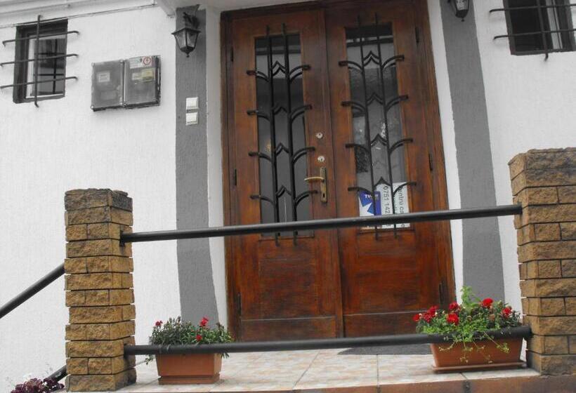 خانه 1 خوابه, Pensiunea Nero