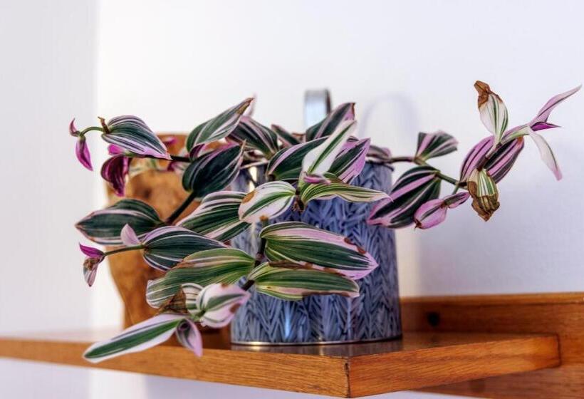 1침실 클래식 아파트, Residence Solei Classic & Plus