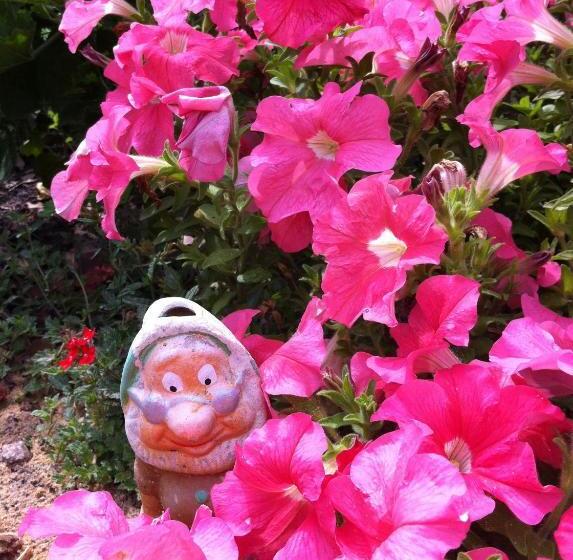 豪华房间, Sea Salt Bnb