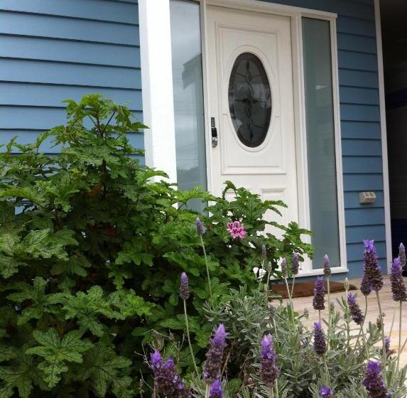 小室, Sea Salt Bnb