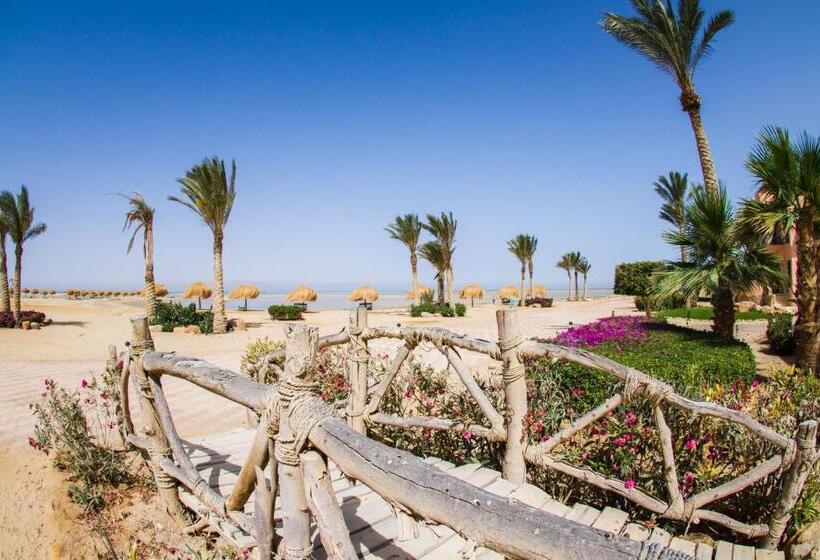 اتاق استاندارد یک نفره با چشمانداز دریا, Green Sudr Resort