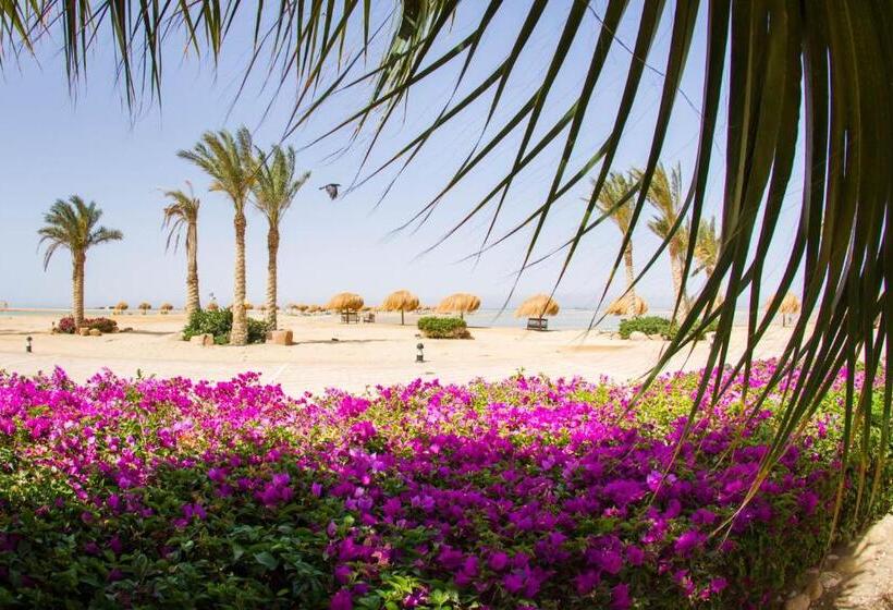 اتاق استاندارد با چشمانداز دریا, Green Sudr Resort