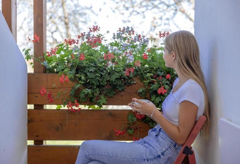 غرفة قياسية مزوَّدة بشُرفة, Bauernhof Pension Hofmayer