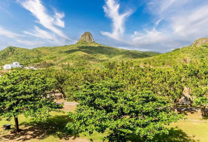 اتاق استاندارد با چشمانداز کوهستان, Wei Yuan