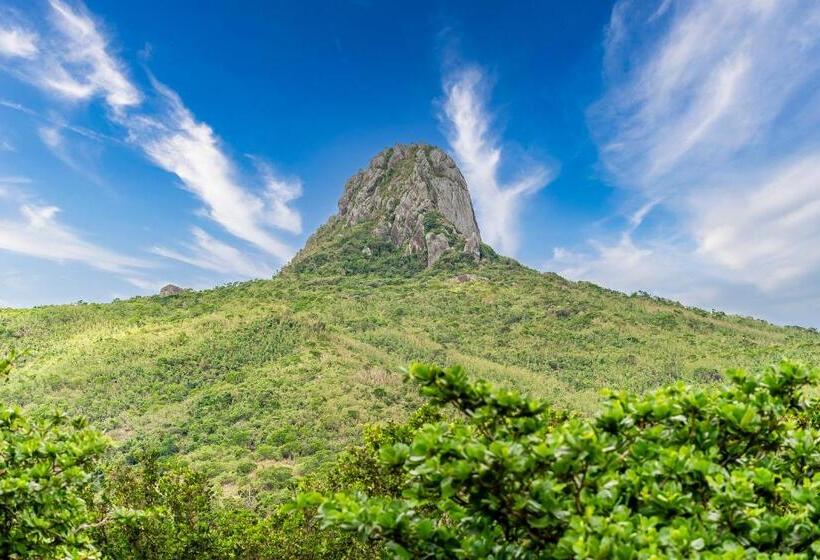 اتاق استاندارد چهار تخته, Wei Yuan