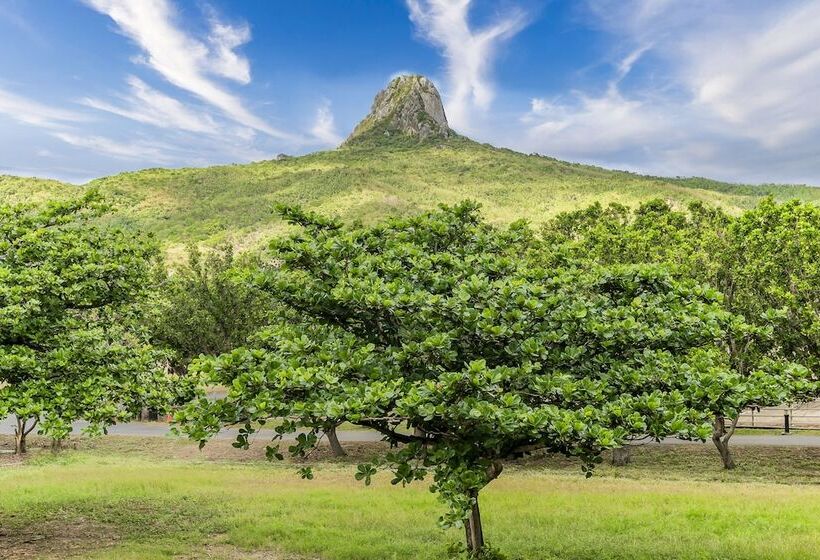 اتاق استاندارد با چشمانداز کوهستان, Wei Yuan