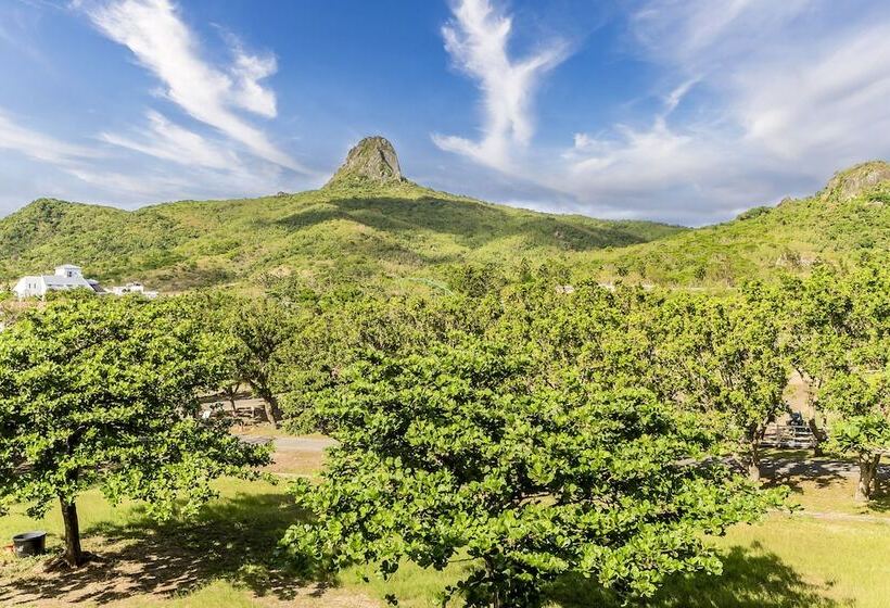 اتاق استاندارد با چشمانداز کوهستان, Wei Yuan