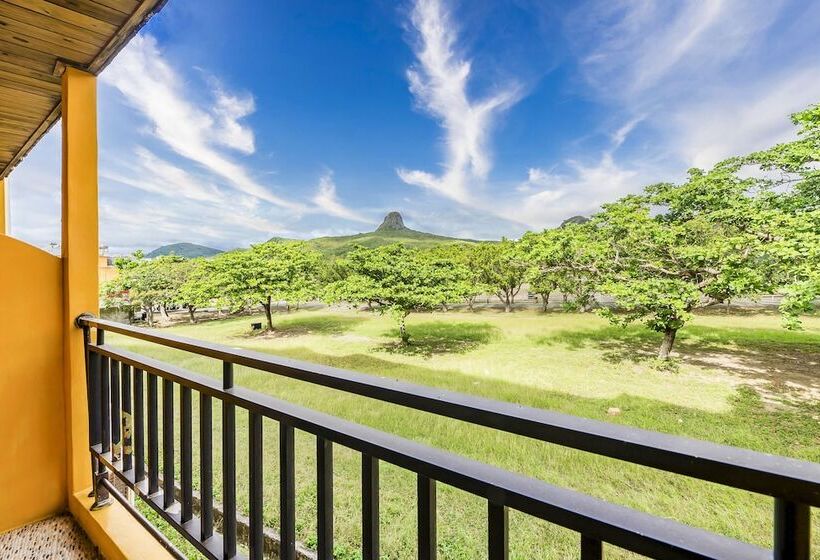 اتاق استاندارد با چشمانداز کوهستان, Wei Yuan