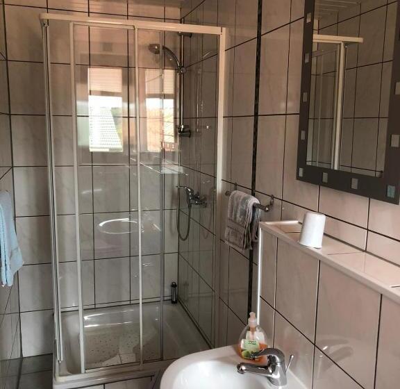 컴포트 싱글 룸, Pension Fischer