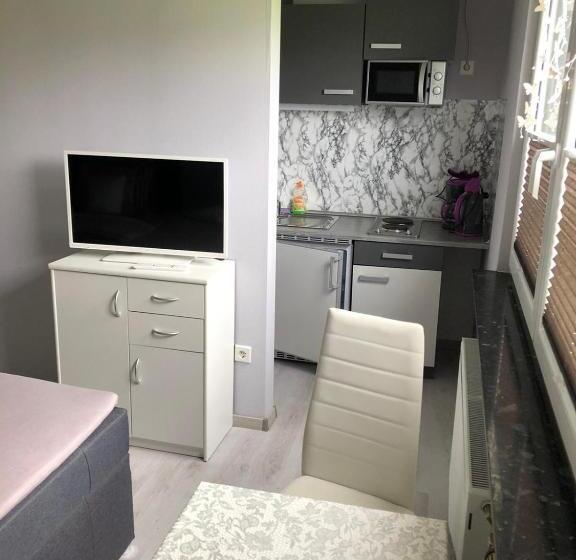 1베드룸 아파트 1층, Pension Fischer