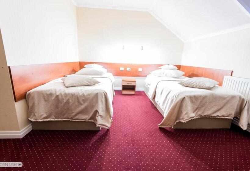 标准间, Pensiunea Terra