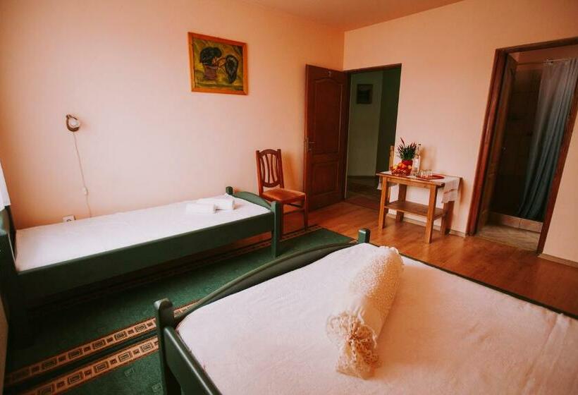 غرفة ديلوكس, Bosnyák Panzió