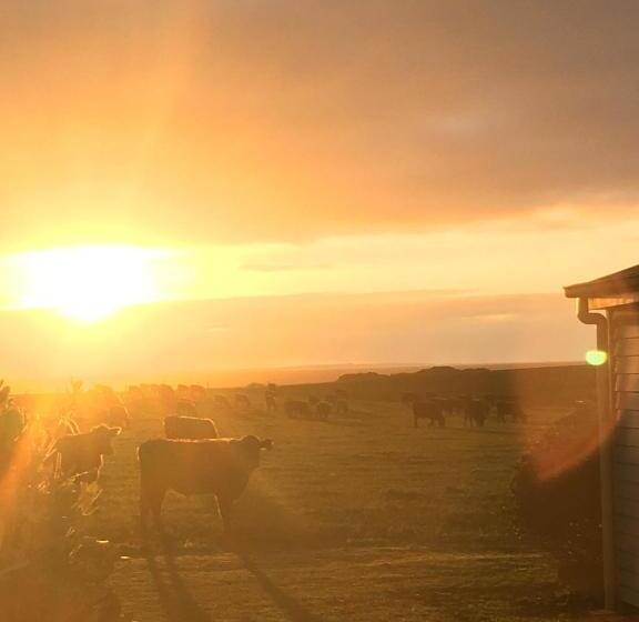 منزل غرفتين نوم, Cable Station Accommodation