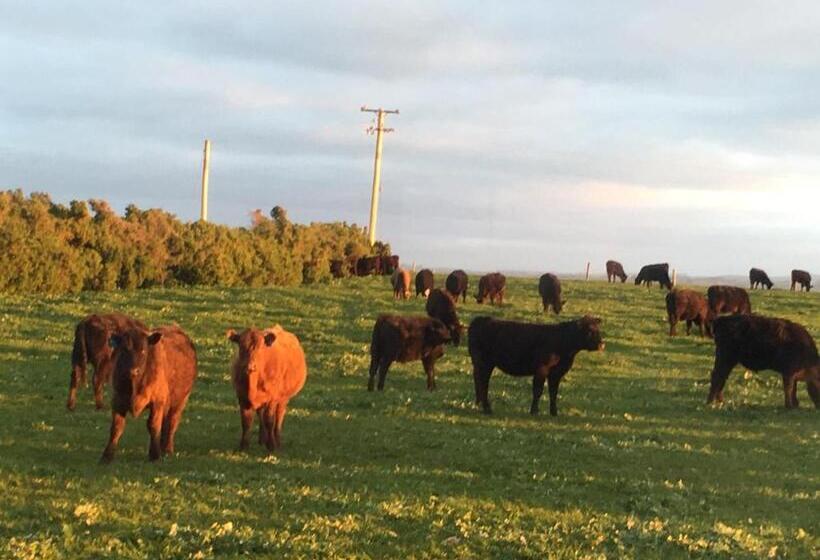 منزل غرفة نوم واحدة, Cable Station Accommodation